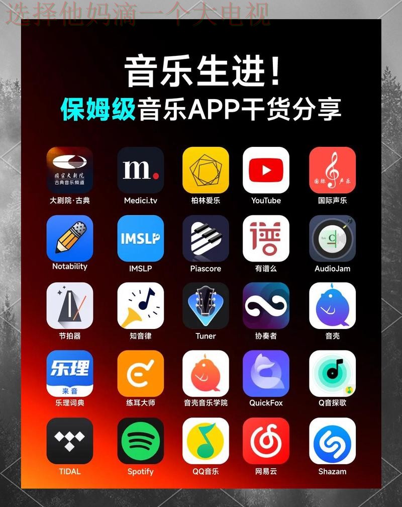 乐动手机APP:畅享极致音乐体验 乐动手机APP:畅享极致音乐体验